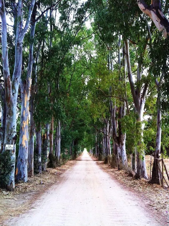בית אירוח סאן תאודורו Villa Antares